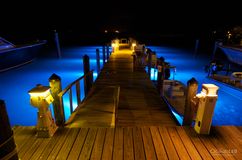 Marine on sale dock lights